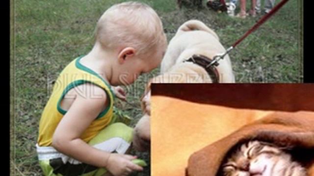 День обнимашек с моим щенком смотреть онлайн