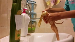 Как помыть и выпрямить волосы кукле/How to wash and straighten your hair doll.