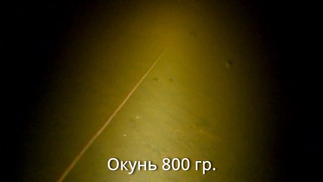 Подводная охота в шторм, мутные воды Ладоги. смотреть онлайн