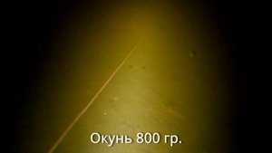 Подводная охота в шторм, мутные воды Ладоги.