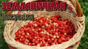 Делаем самую лучшую, вкусную, ароматную и полезную летнюю настойку. Земляничная настойка