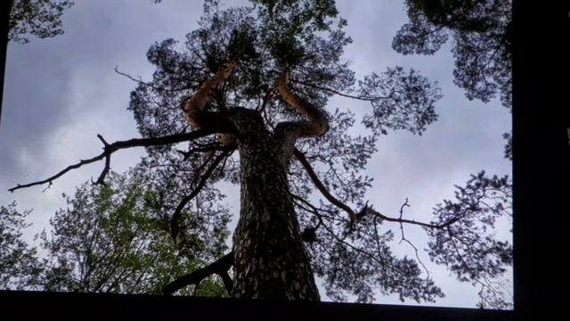 иллюзия смотреть онлайн