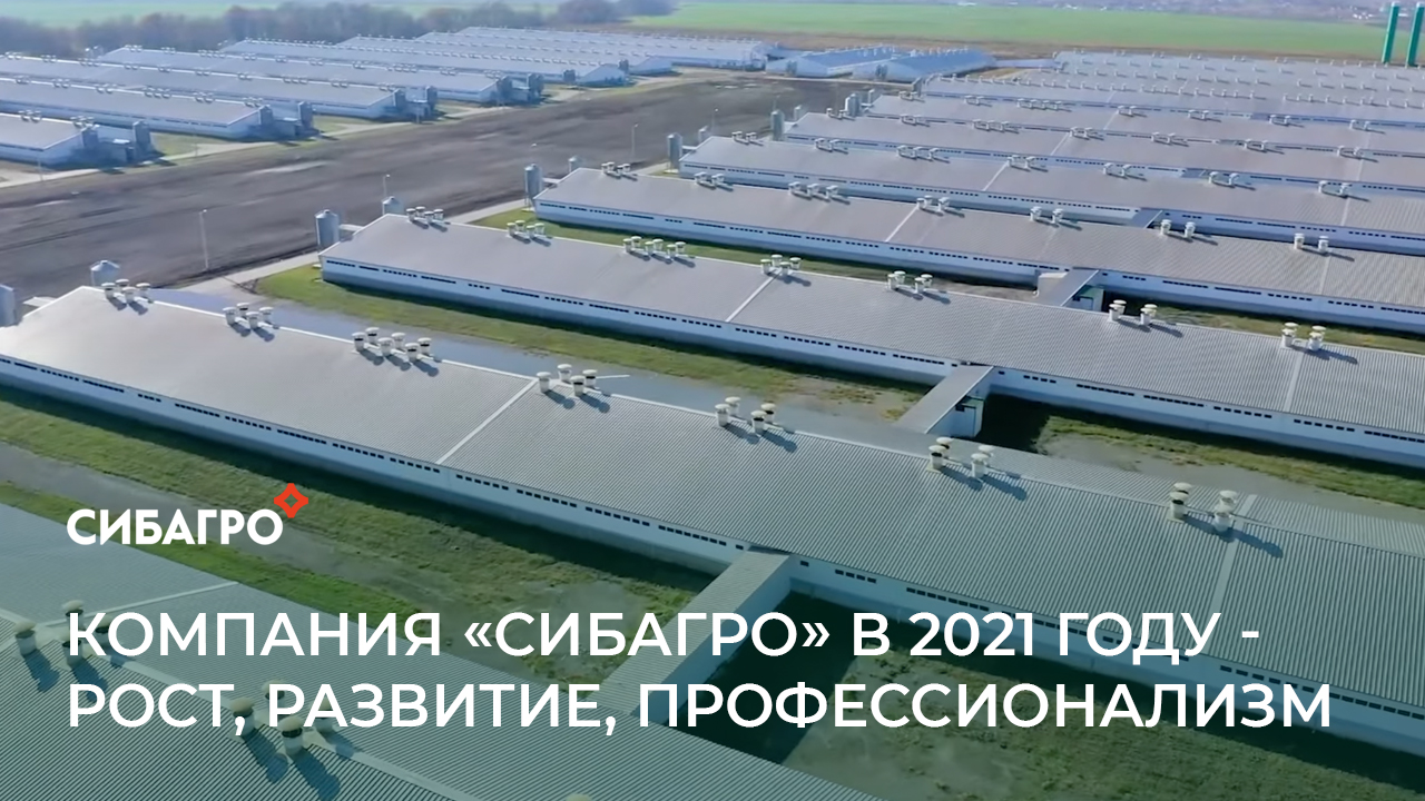 Компания "Сибагро" в 2021 году - рост, развитие, профессионализм