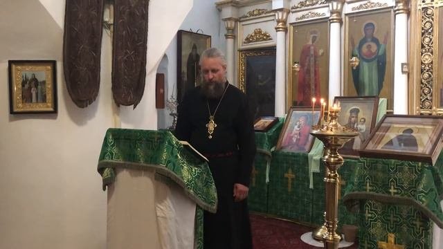 Александрийская Православная Церковь. Современное состояние.