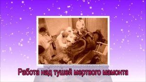 Генетики работают над возрождением МАМОНТОВ