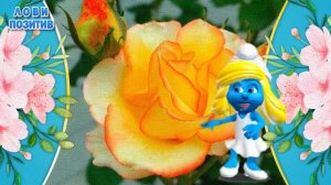 С Днем Рождения Подружка! Поздравления с Днем Рождения Подруге Прикольные