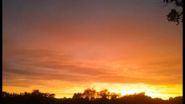 Дима Бриз - Цвети (Bachata Remix 2020) смотреть онлайн