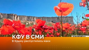 В Крыму распустились маки