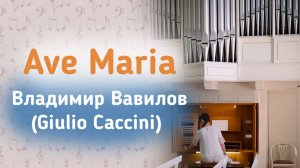 Вавилов (Каччини) — Аве Мария / Vavilov (Caccini) — Ave Maria