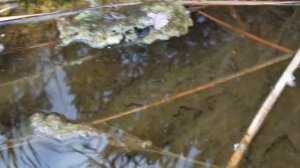 ТУРЦИЯ / ДИКИЛИ / ВОДОПАД ВЛЮБЛЕННЫХ / Aşıklar Şelalesi