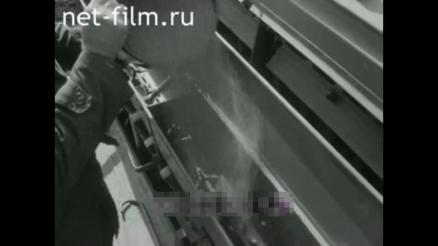Люцерна на семена - технология возделывания #люцерна