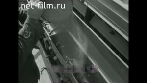 Люцерна на семена - технология возделывания #люцерна