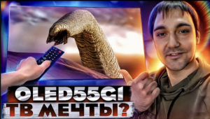 Лучший телевизор до 2000$?! OLED55G1