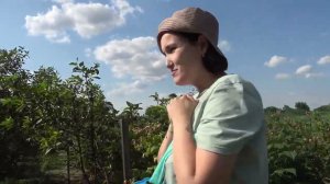 Не расстройство , так золотуха. 21.06.23.