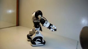 Wow Wee WowWee Robosapien