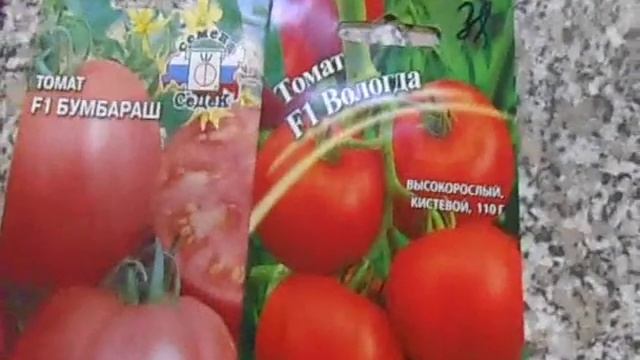 Томаты высокорослые, засолочные