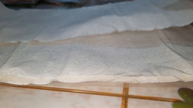 Снова сею семена необычным способом.