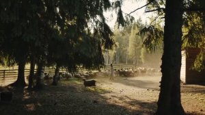 Алени (олени) и подкаблучники мужчины