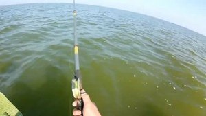 Рыбалка на Азовском море, Ейский лиман тарань, выезд № 2