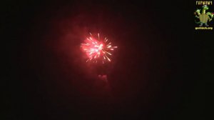 С049 НЬЮ ЙОРК 49 залпов,калибр 0,8"