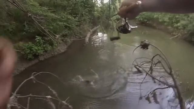 Ловля трофейного голавля на малой реке.Спиннинг Souls-trout finalist tvichin ,катушка daiwa luvias смотреть онлайн