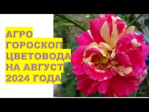 Агрогороскоп цветовода на август 2024 года Florist's agrohoroscope for August 2024