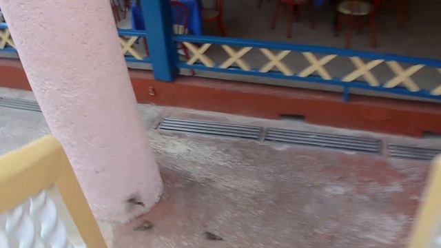 Cuba Varadero Brisas del Caribe 2013!!!!! смотреть онлайн