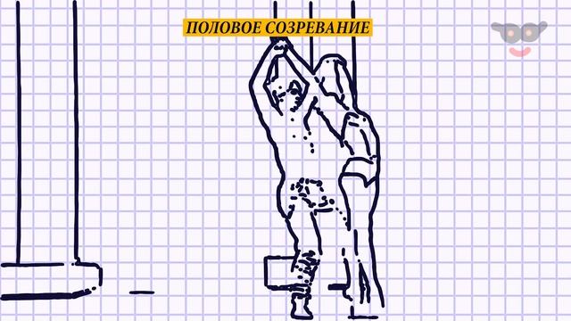 Почему девочки взрослеют быстрее мальчиков смотреть онлайн