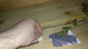 Спичку Поджигаю Паром. ФЕРИНГЕР. ПИФ. без монтажа.