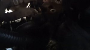 LDV Maxus. Замена помпы или водяного насоса.