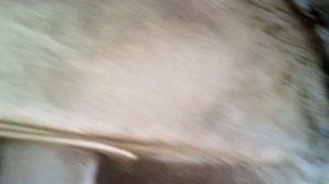 Мерседес Варио визуальный осмотр агрегатов