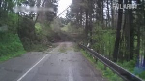 Видеорегистратор худших водителей в мире выходит из строя