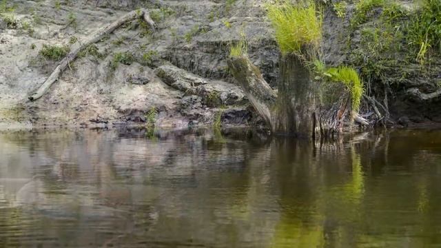 Однодневный сплав на байдарках в г. Полтава р. Ворскла смотреть онлайн