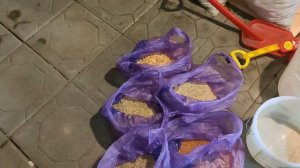 ЗАЧЕМ ВЕРМЕРЫ ДОБАВЛЯЮТ ОТРУБИ ЧЕРВЯМ