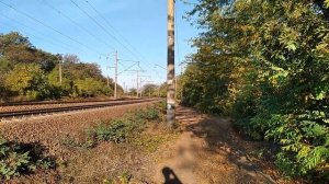 Вело прогулка выходного дня.  Одесса Дальницкий лес 04. 10. 2020