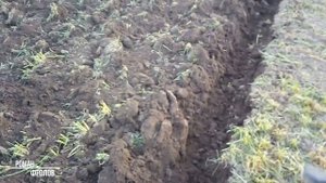 ПАШУ УЧАСТОК ВЕСНА 2021. ЗАМЕР ГЛУБИНЫ