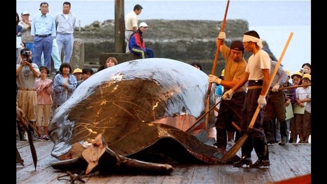 セブンスコード前田敦子 リズムギター空耳コピ　超B級 смотреть онлайн