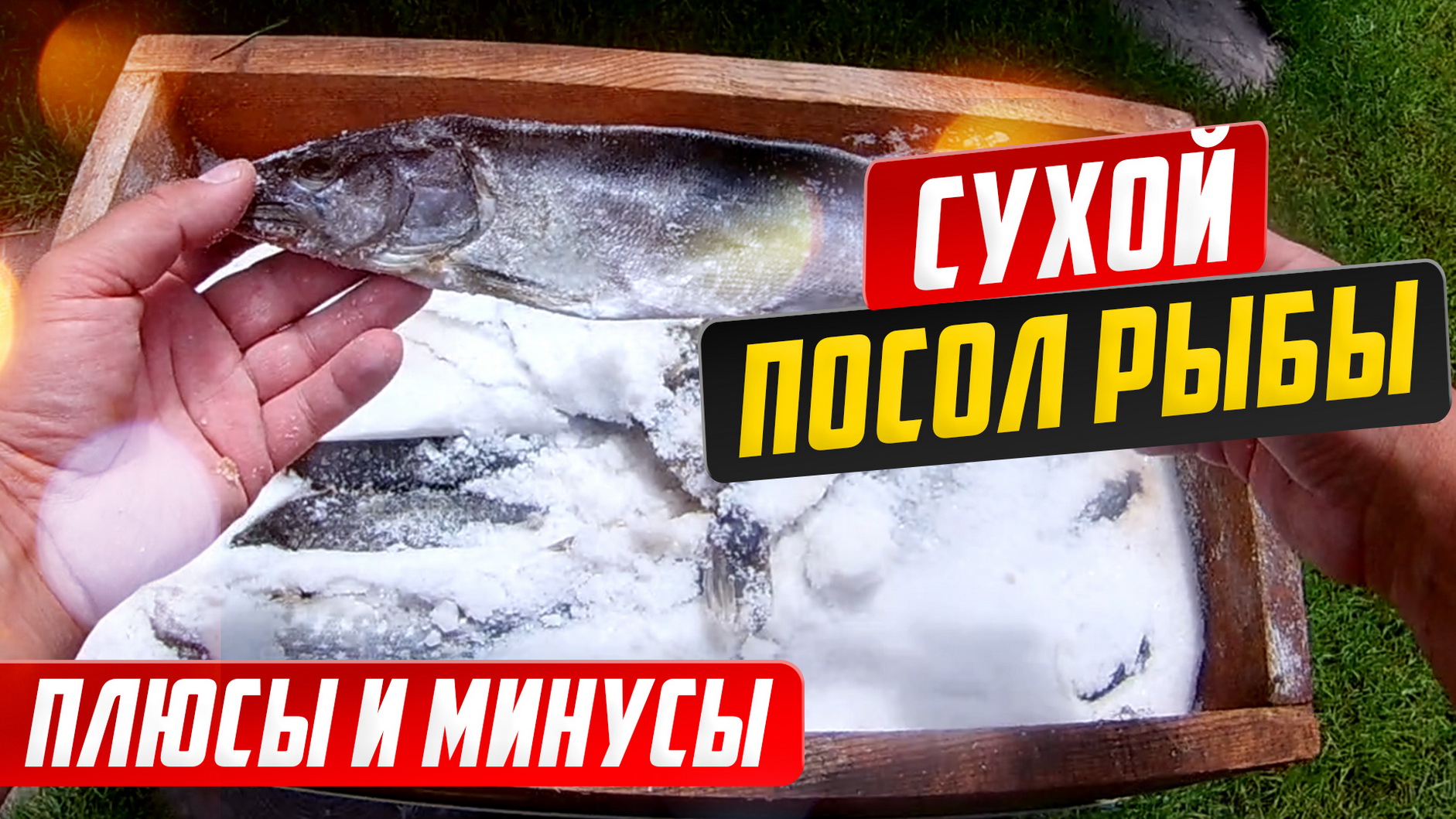 Сухой посол рыбы, вопросы и ответы, плюсы и минусы.mp4 смотреть онлайн