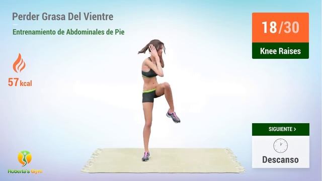 Abdominales De Pie: Perder Grasa Del Vientre En Casa смотреть онлайн