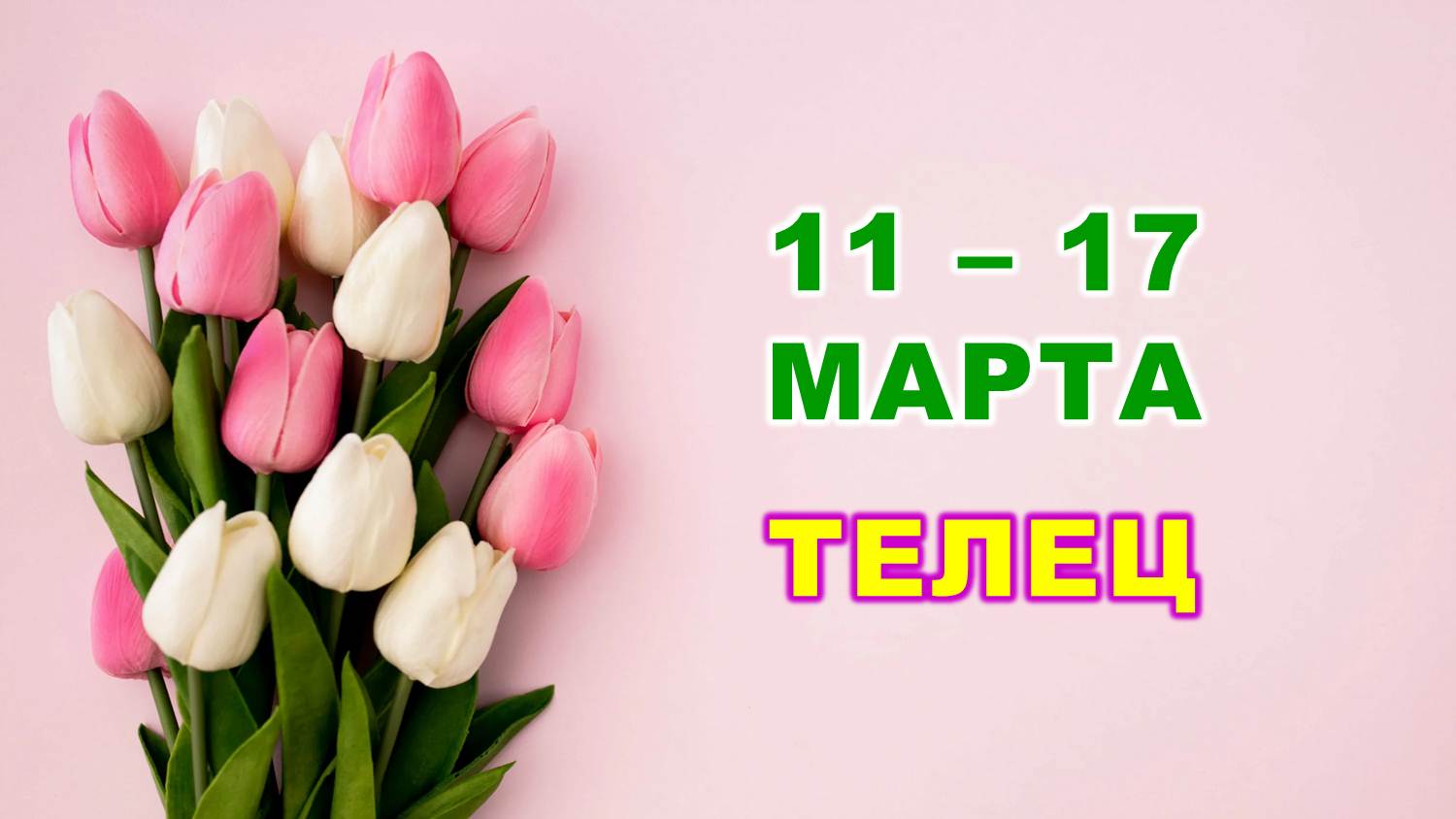 ♉ ТЕЛЕЦ. 🌷 С 11 по 17 МАРТА 2024 г. 🌸 Таро-прогноз 🩷