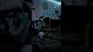 💗✨ЧТО МОЖНО ПОДЕЛАТЬ КВАДРОПЕРУ ИЛИ ТЕРИАНУ ДОМА💗✨