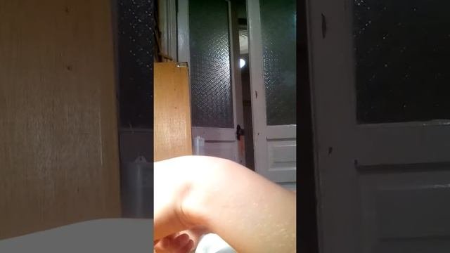 Как сделать приведенье.