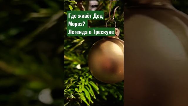 Где живёт Дед Мороз? Про официальную резиденцию. Больше в выпуске 13! #shorts #дедмороз #новыйгод