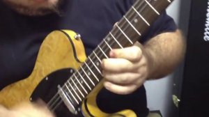 GUITARRA TELECASTER SUNSMILE STL 100BNA