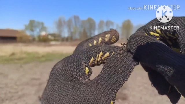 Коп. Киевская область. Монеты. Металопластика, Николай 2, Радость от находки и разочарования. смотреть онлайн