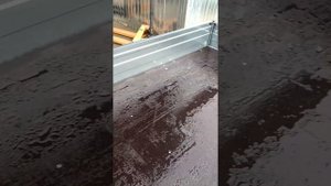 Прицеп Тавиалс