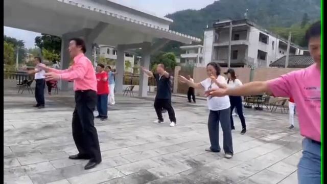 正宗一百零八式吴式太极 Wu style Tai Chi, 108 moves смотреть онлайн