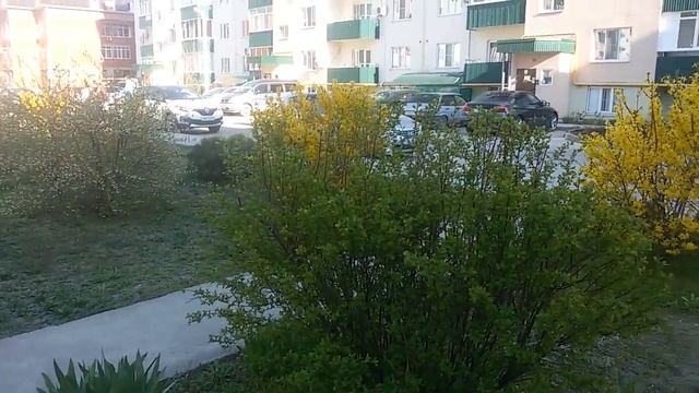 Переезд в Краснодар. Адыгея. Центр  п.  Яблоновский.  ЖК на улице Кобцевой. Плюсы и минусы. Переезд