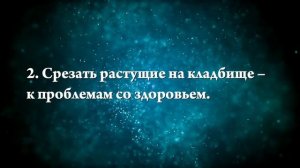 Что означают сны, связанные с розами - положительные и отрицательные значения