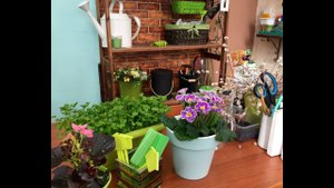 Секреты пикировки перца. Дачные сезоны 3 марта 2018г